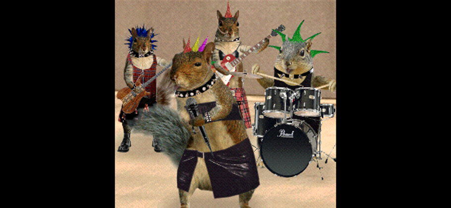 How To Behave In The Music Business: Don’t Be A Squirrel!