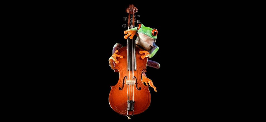Songwriters: Eat The Big Frog First